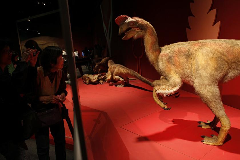 A visitor looks at an animatronic model during a dinosaur exhibition in Hong Kong April 9, 2014. u00e2u20acu201d Reuters pic