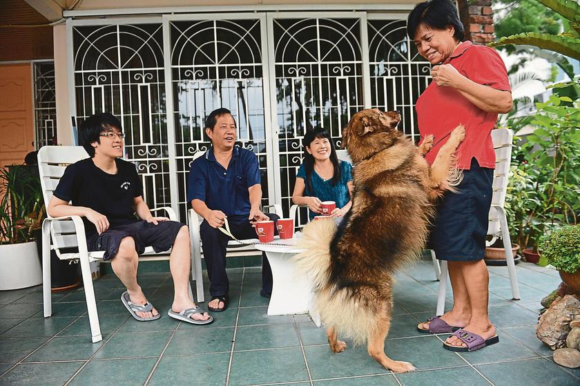 Filipina maid Eve de la Cruz, 58, feels at home with the Ng family as she plays with Casey at their Taman Desa home in Kuala Lumpur.
