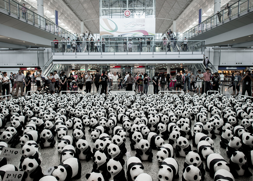 Some of the 1,600 papier-mache pandas are seen displayed at Hong Kong's international airport on June 9, 2014. u00e2u20acu201d AFP pic