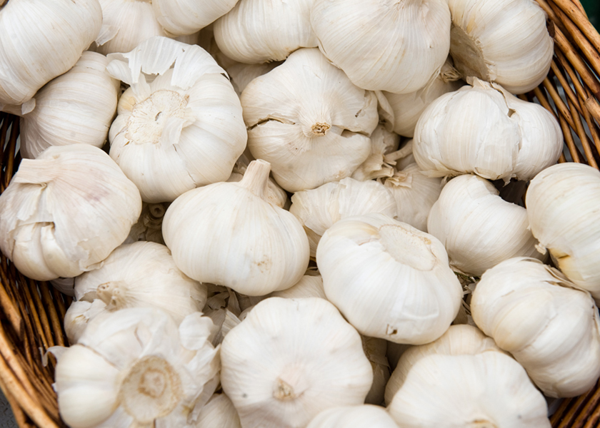 Foods like garlic have been classified as prebiotics for their ability to promote healthy gut bacteria, June 21, 2014. u00e2u20acu201d AFP pic