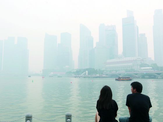 Transboundary burning and forest fires have raised concerns in Singapore and new legislation aims to increase fines for offenders, June 27, 2014. u00e2u20acu201d Today pic