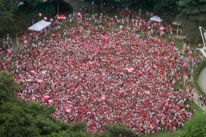This handout photo made available on June 18, 2011 by organisers Pink Dot, shows people dressed in pink gathered at Hong Lim park in Singapore on June 18, 2011. u00e2u20acu201d AFP pic