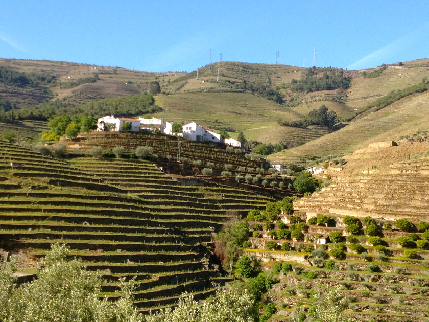 The Six Senses hotel will open in Portugal's Douro Valley, classified by UNESCO as a heritage site. u00e2u20acu201d AFP pic