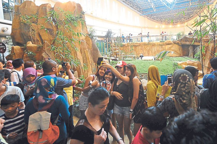 Visitors take selfies with Xing Xing at Zoo Negara yesterday. u00e2u20acu201d Picture by Azinuddin Ghazali  