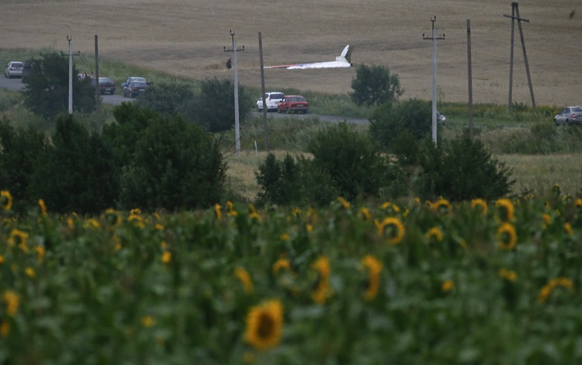 The wreckage of a Malaysia Airlines Boeing 777 plane (back) is seen, with sunflowers in the foreground, near the settlement of Grabovo in the Donetsk region, July 17, 2014. u00e2u20acu201d Reuters pic