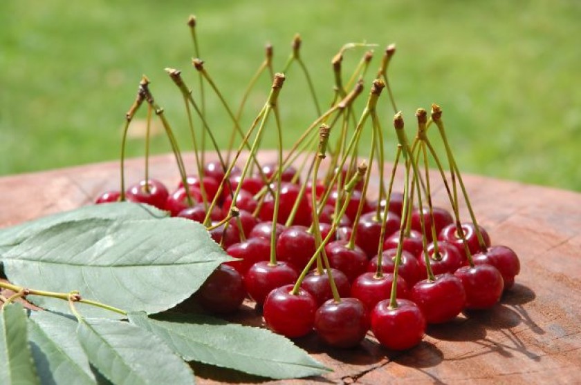 Cherries are at the centre of a summer festival in Michigan. u00e2u20acu201d AFP Relaxnews pic