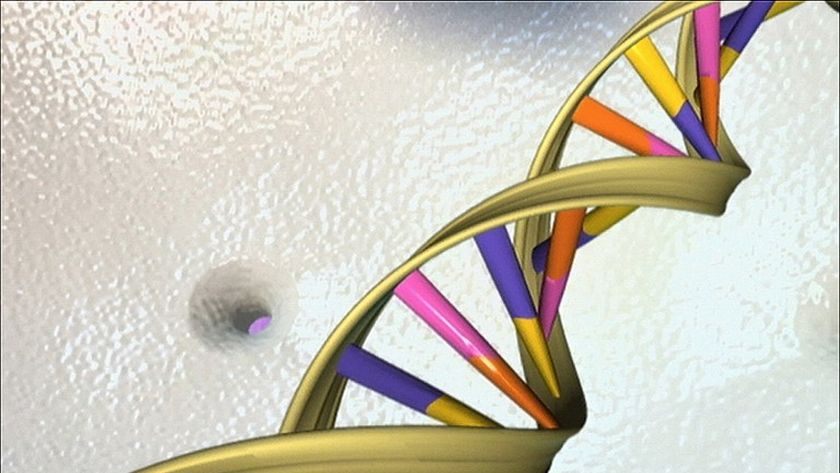 Illustration of the DNA double helix. Singapore scientists have made breakthrough in stomach cancer research by developing a new DNA analysis technique. u00e2u20acu201d AFP pic
