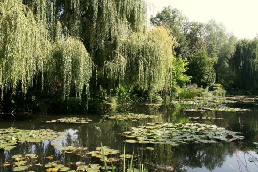 The trip heads to different parts of France including Claude Monetu00e2u20acu2122s home in Giverny, the inspiration behind his famous u00e2u20acu02dcWater Liliesu00e2u20acu2122 series, and the picturesque town of Collioure, France, source of inspiration for Henri Matisse. u00e2u20acu2022 AFP pic