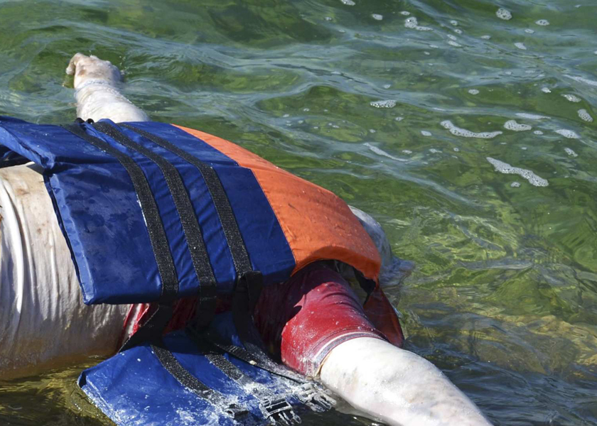 The Tunisian coast guard recovered the bodies of 21 migrants, most probably Syrians, who drowned when their boat sank, Aug 31, 2014. u00e2u20acu201d Reuters pic