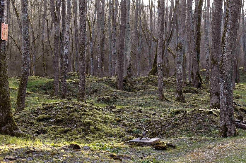 Craters from shelling during WWI are seen in the village of Bezonvaux, near Verdun, north-eastern France, in this March 29, 2014 file picture. u00e2u20acu2022 Reuters pic