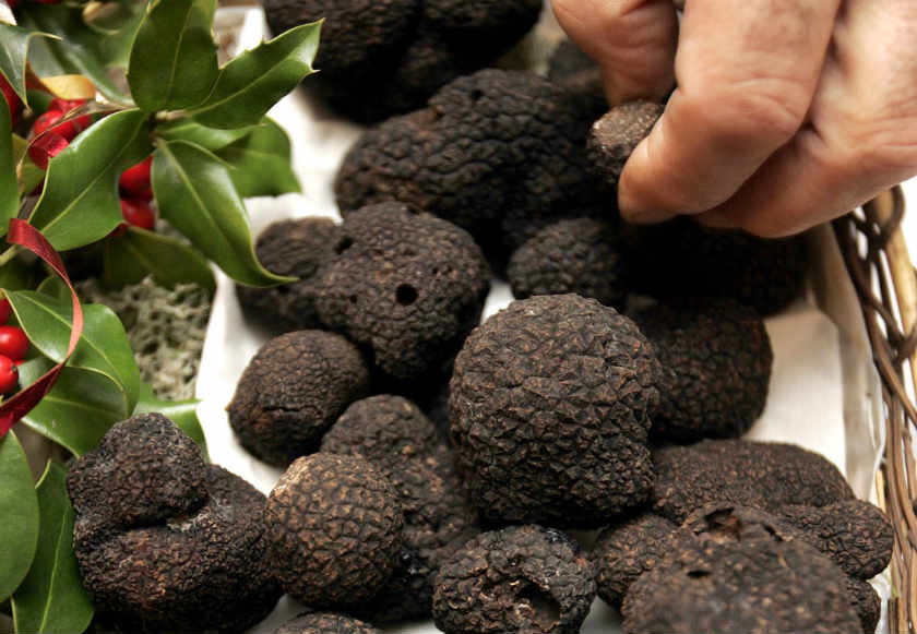 A truffle farmer sells his production during the truffle market in Sorges, southwestern France, in this December 17, 2006 Reuters file photo. u00e2u20acu201d Reuters pic
