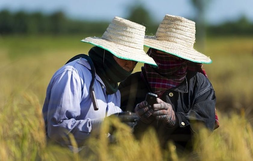 Farmers on a field are seen with a mobile device. u00e2u20acu2022 DNA pic