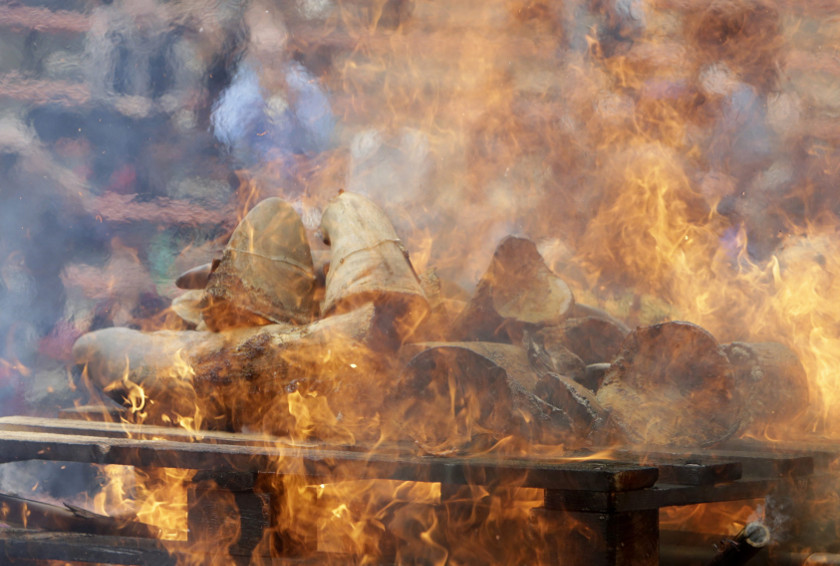 Rhino horns are burned during the Global Rhino Horn Burning Ceremony on the eve of World Rhino day at Dvur Kralove zoo in Dvur Kralove September 21, 2014.  u00e2u20acu201d Reuters pic