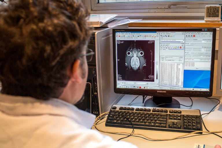 A laboratory assistant works with a magnetic resonance imaging (MRI) device dedicated to the mouse and rat to study anatomical and functional imaging of the brain on January 23, 2014 at the Neurosciences Research Centre in Bron. u00e2u20acu201d AFP pic