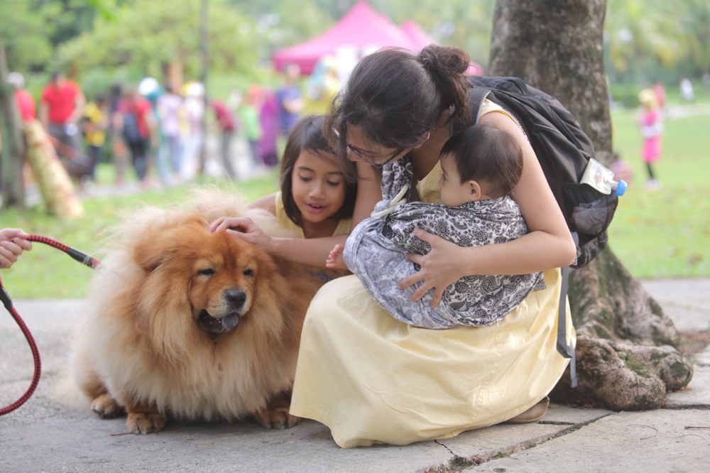Muslims and non-Muslims animal lovers attend the u00e2u20acu02dcI wanna to touch a dogu00e2u20acu2122 event in Central Park, Bandar Utama, October 19, 2014. u00e2u20acu201d Picture by Choo Choy May 