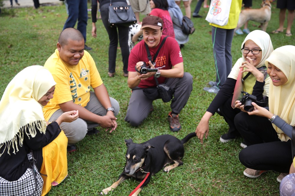Muslims and non-Muslims animal lovers attend the u00e2u20acu02dcI wanna to touch a dogu00e2u20acu2122 event in Central Park, Bandar Utama, October 19, 2014. u00e2u20acu201d Picture by Choo Choy May 