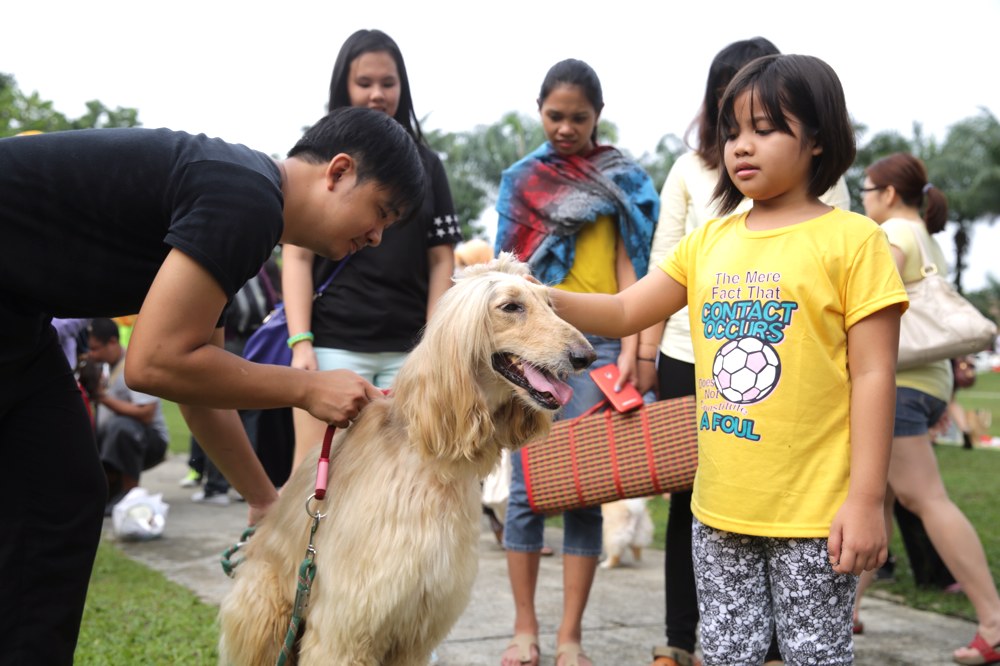 Muslims and non-Muslims animal lovers attend the u00e2u20acu02dcI wanna to touch a dogu00e2u20acu2122 event in Central Park, Bandar Utama, October 19, 2014. u00e2u20acu201d Picture by Choo Choy May 