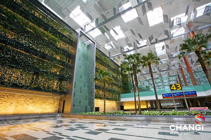 Changi Airport's green wall. u00e2u20acu201d AFP pic