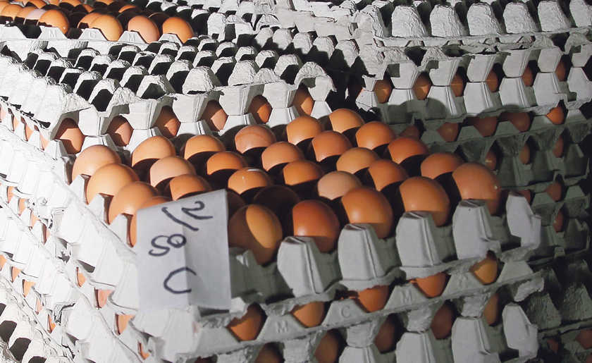 The prices of fresh eggs Singapore have continued to rise. u00e2u20acu201d TODAY picn