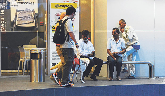 Abdul Aziz says the use of guide dogs in assisting the blind must be in accordance with city by-laws, while also considering the needs of the public. u00e2u20acu201d Malay Mail pic