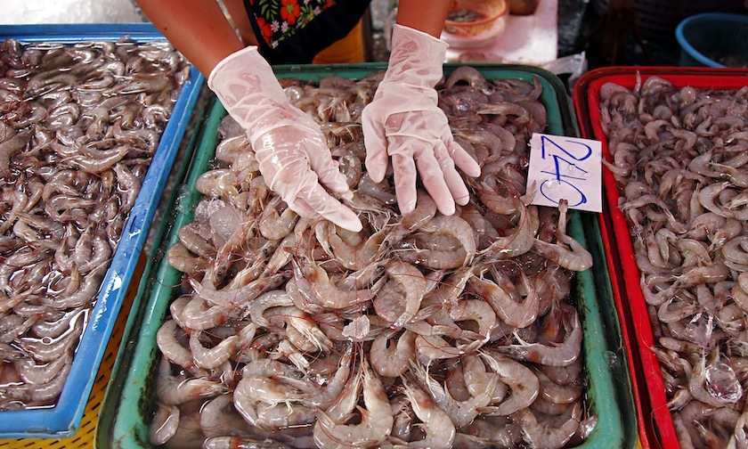 The fishing industry accounts for 40 per cent of Thai exports of food products and is a mainstay of the economy. u00e2u20acu201d AFP pic