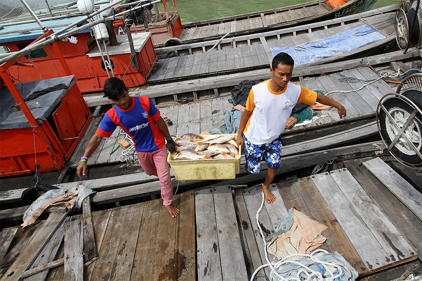 Workers unload their catch at the Jetty Pantai Kelanang in Banting, on November 18, 2014. u00e2u20acu201d Picture by Yusof Mat Isa