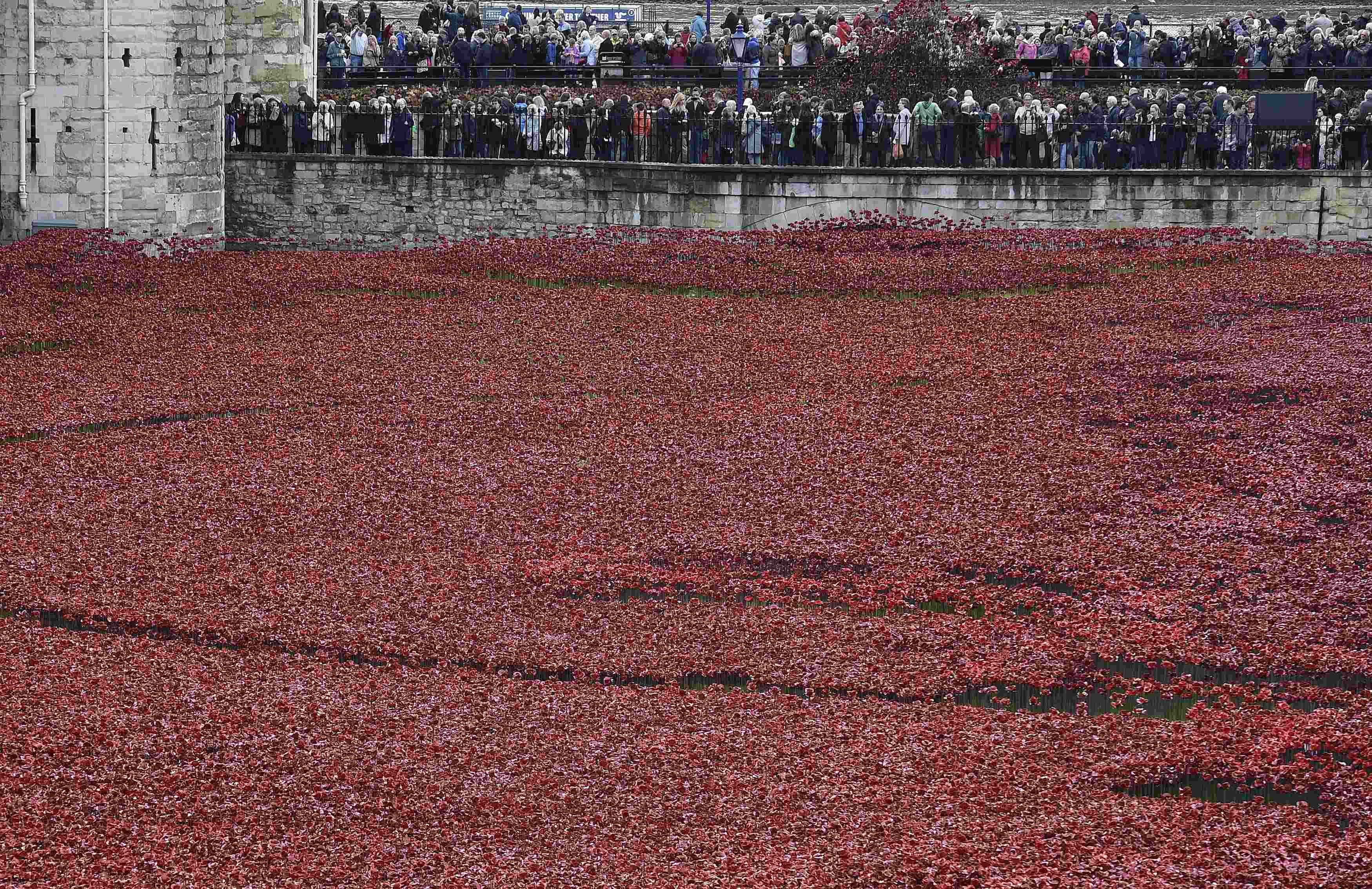 Large crowds view ceramic poppies that form part of the art installation u00e2u20acu02dcBlood Swept Lands and Seas of Redu00e2u20acu2122 at the Tower of London in London November 2, 2014. u00e2u20acu201d Reuters pic