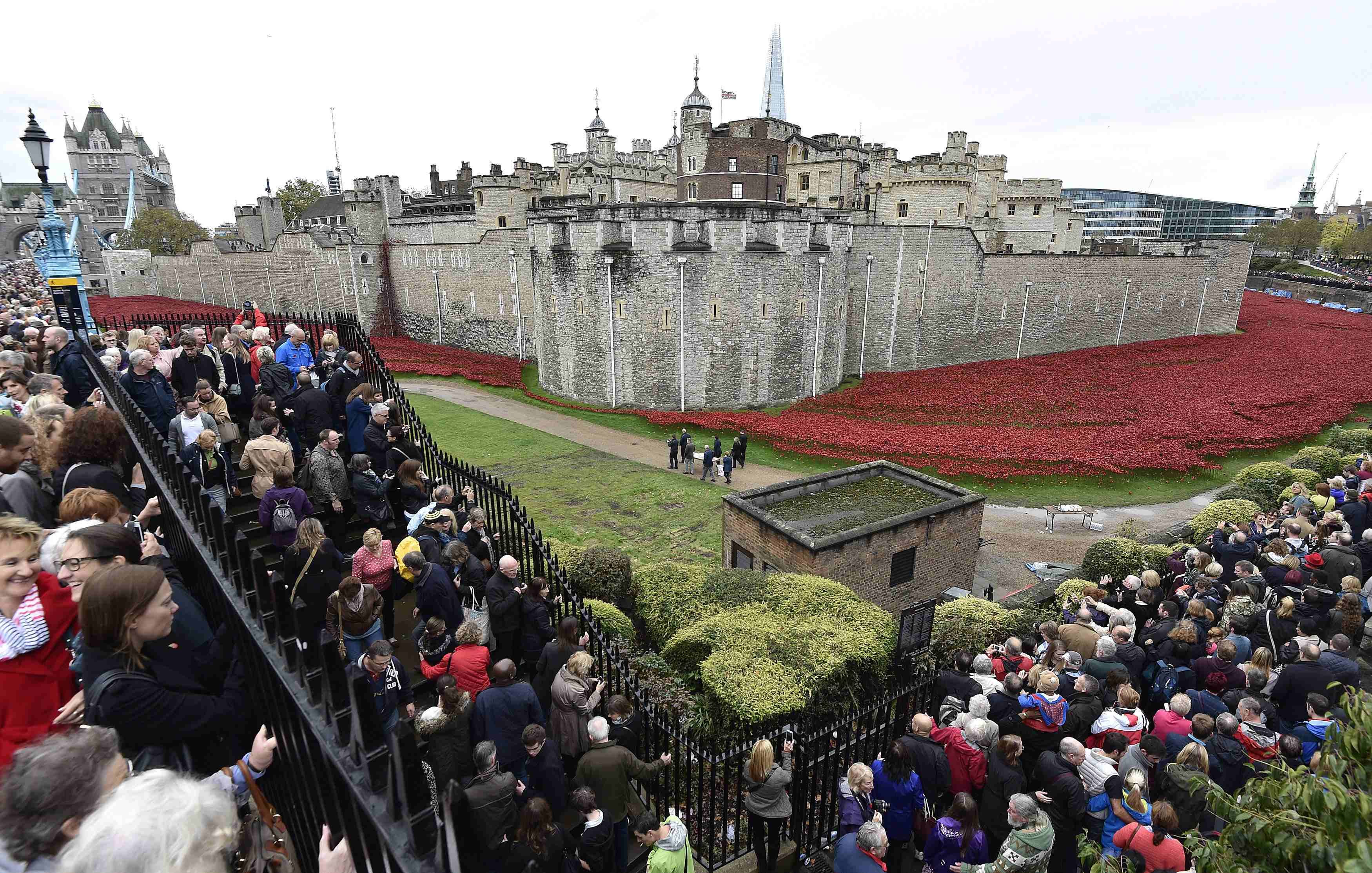 Large crowds view ceramic poppies that form part of the art installation u00e2u20acu02dcBlood Swept Lands and Seas of Redu00e2u20acu2122 at the Tower of London in London November 2, 2014. u00e2u20acu201d Reuters pic