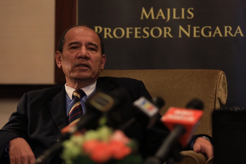 Sofian said the National Blue Ocean Strategy adopted by Putrajaya to promote greater inter-agency cooperation could be improved. u00e2u20acu201d Picture by Saw Siow Feng