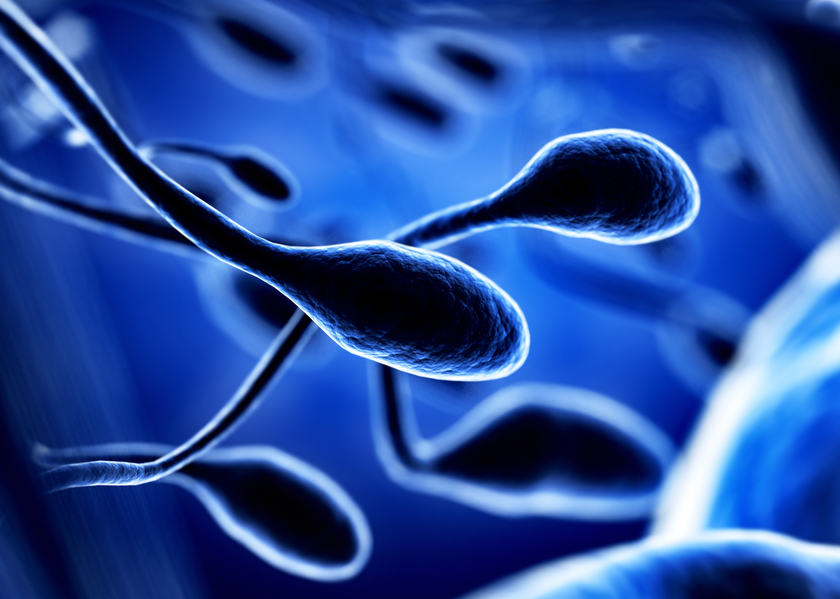 Scientists have taken a step towards eliminating infertility. u00e2u20acu201d AFP pic