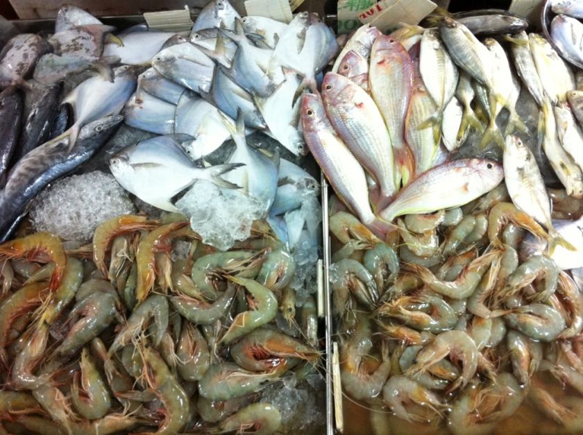 Prawns are now dying off due to the high acidic levels of the sea, December 23, 2014. u00e2u20acu201d Picture by K.E. Ooi