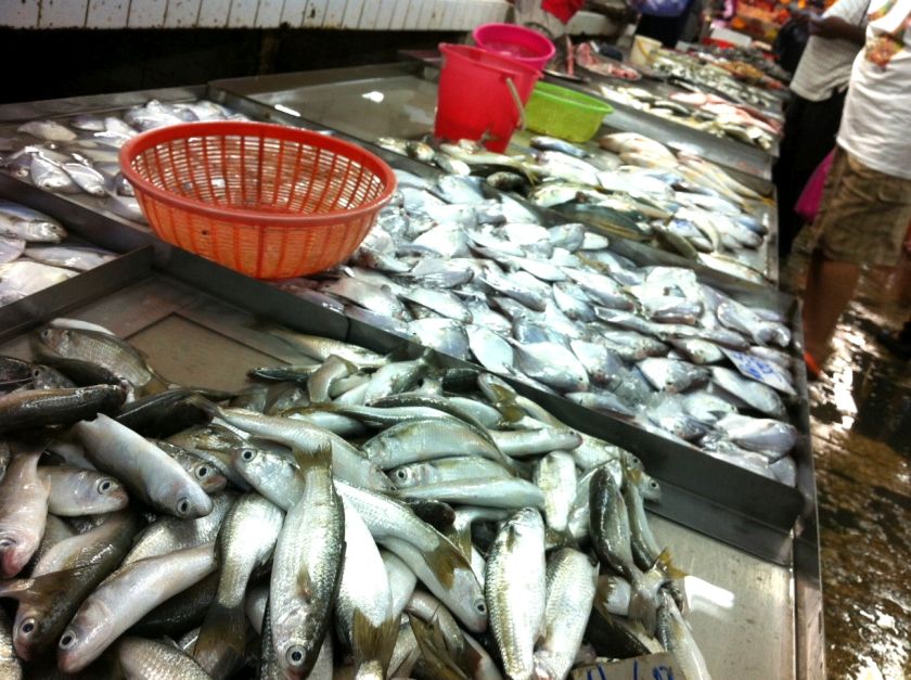 There are now less fishes and crustaceans in the sea due to climate change and developments, December 26, 2014. 