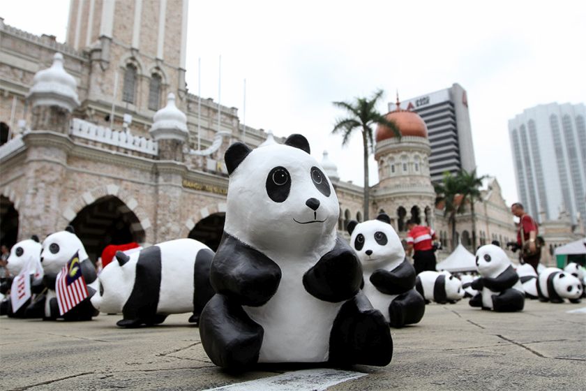 A view of the paper mache pandas created by French sculptor Paulo Grangeon using recycled paper as a symbolic representation of the remaining pandas left in the wild, Dataran Merdeka in Kuala Lumpur, December 21, 2014. u00e2u20acu201d Picture by Yusof Mat Isa.  nn
