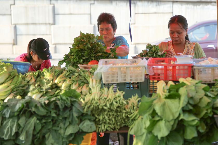 Vegetable sellers setting up their stall at the market Puchong Jaya Market, Kuala Lumpur, January 26, 2014.  u00e2u20acu201d Picture by Saw Siow Feng