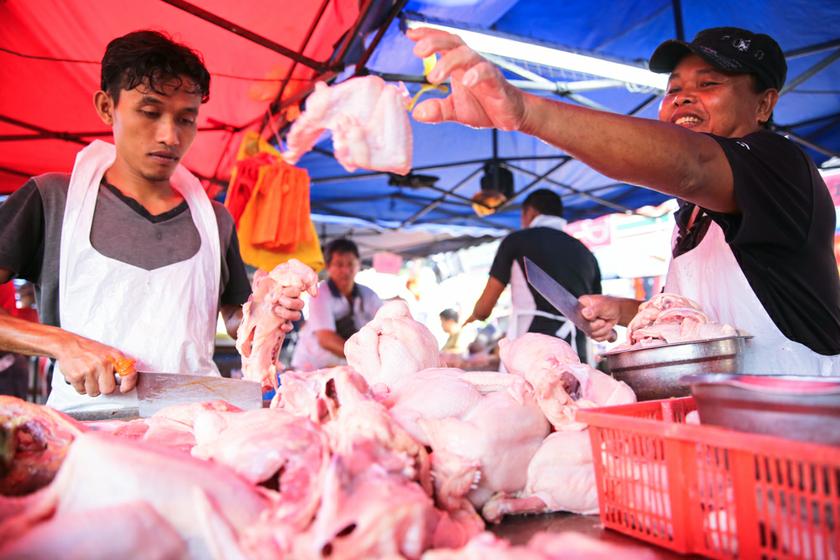 Poultry sellers setting up their stall at the market Puchong Jaya Market, Kuala Lumpur, January 26, 2014.  u00e2u20acu201d Picture by Saw Siow Feng