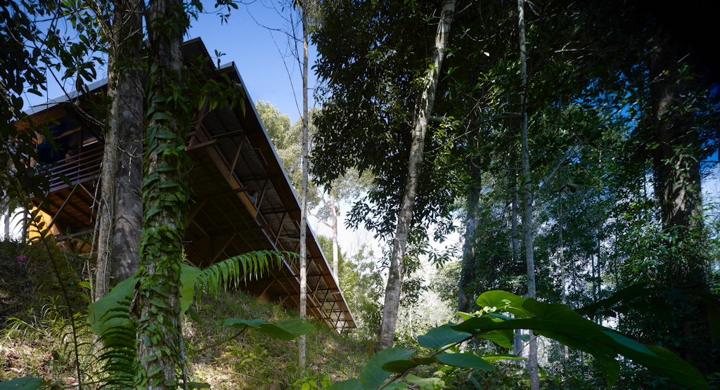 Drawing on vernacular precedents the house sits lightly among the rainforest.