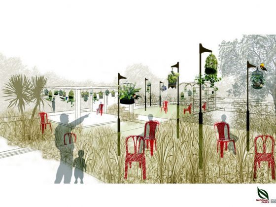An artistu00e2u20acu2122s impression of the Talk Bird, Sing Song garden inspired by the pastime of listening to birdsong. u00e2u20acu201d TODAY pic courtesy of NParks
