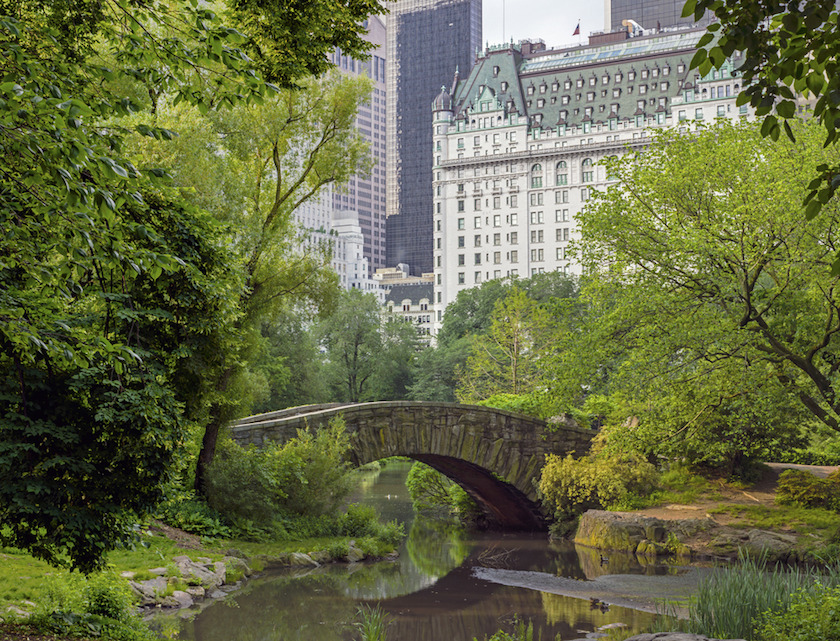 Central Park in New York City. u00e2u20acu201d AFP-Relaxnews pic