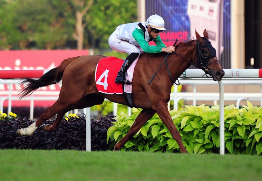 Belgian jockey Christophe Soumillon onboard Parranda wins the China Equine Cultural Festival Singapore Cup horse race in Singapore February 22, 2015. u00e2u20acu201d AFP pic