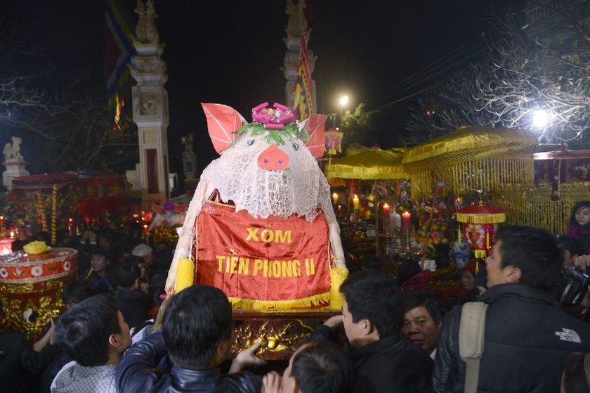 A slaughtered well ornated pig is carried as offering during a procession toward the communal house at La Phu village in the outskirts of Hanoi late on February 22, 2013. u00e2u20acu201d AFP pic