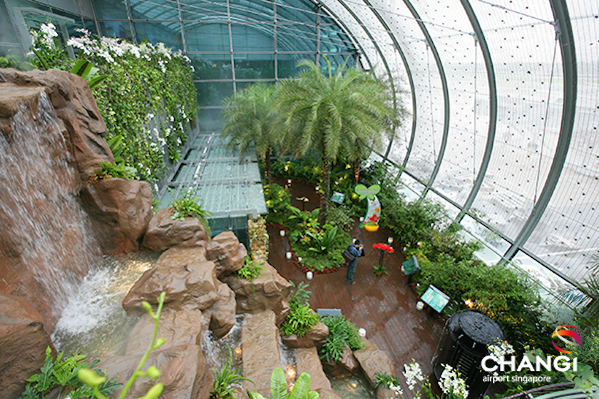 Changi Airport's butterfly garden. u00e2u20acu201d AFP-Relaxnews pic