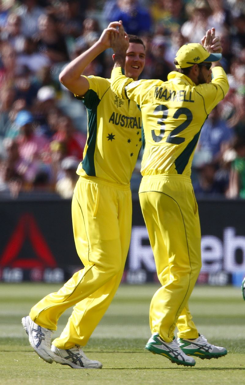 Josh Hazlewood (left) and Glenn Maxwell celebrate after teammate Aaron Finch (not in picture) caught out Pakistan’s Shahid Afridi.