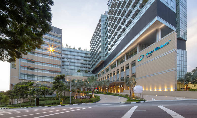 The Mount Elizabeth Hospital in Singapore, a unit of the Malaysian  IHH Healthcare chain. u00e2u20acu201d File pic