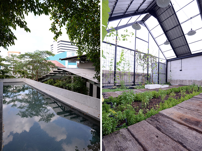 The rooftop swimming pool that is shared between Sekeping Kong Heng and The Old Block (left). The rooftop garden at The Old Block (right).
