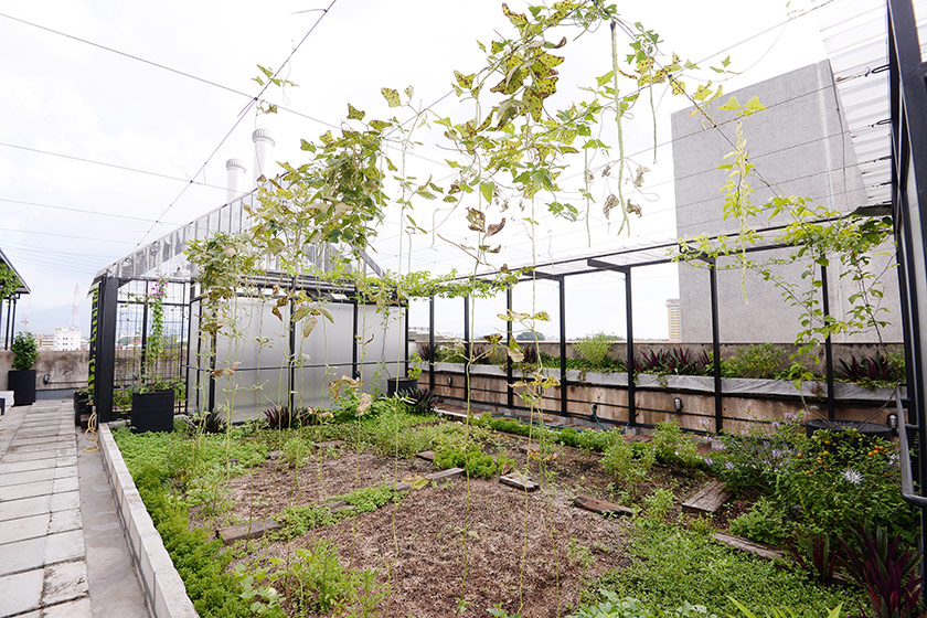 There are plans to start a salad bar at the roof top garden at The Old Block.