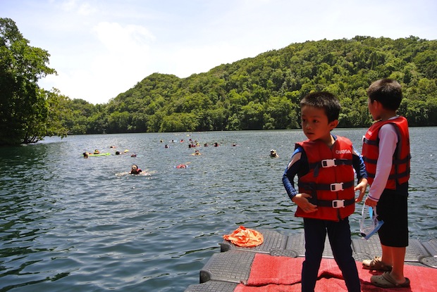This picture taken on March 6, 2015 shows Chinese tourists swimming in the world renowned 'Jellyfish lake', a marine lake where visitors can swim with thousands of golden jellyfish on the Rock Islands in Palau. u00e2u20acu201d AFP picn