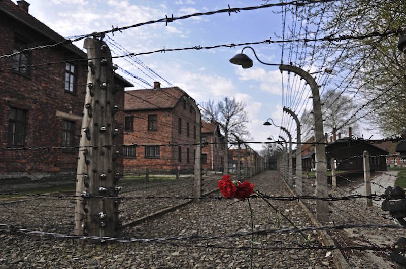 Carnations are placed on the barbed wire in the former Nazi death camp of Auschwitz in Oswiecim, April 16, 2015. u00e2u20acu201d Reuters pic