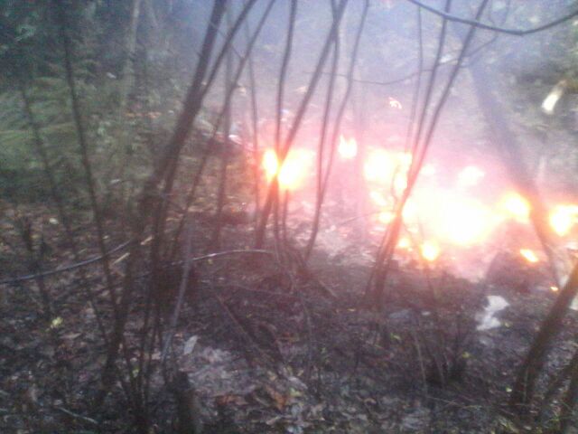 A picture purportedly taken at the site of the helicopter crash near Kampung Pasir Baru in Semenyih April 4, 2015. u00e2u20acu201d Picture courtesy of Selangor Fire and Rescue Department