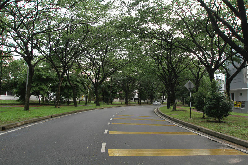 Picture shows a well-maintained road amid beautiful landscaping in Shah Alam.