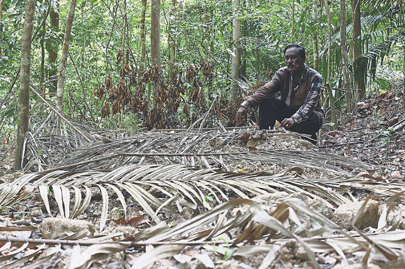 Arulldas squats near what is said to be graves of victims covered with palm fronds somewhere near the border town Padang Besar, Thailand. u00e2u20acu201d Pic by Sayuti Zainudin
